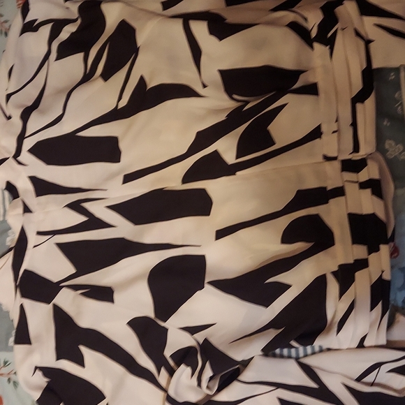 Express - Picture 3 of 3